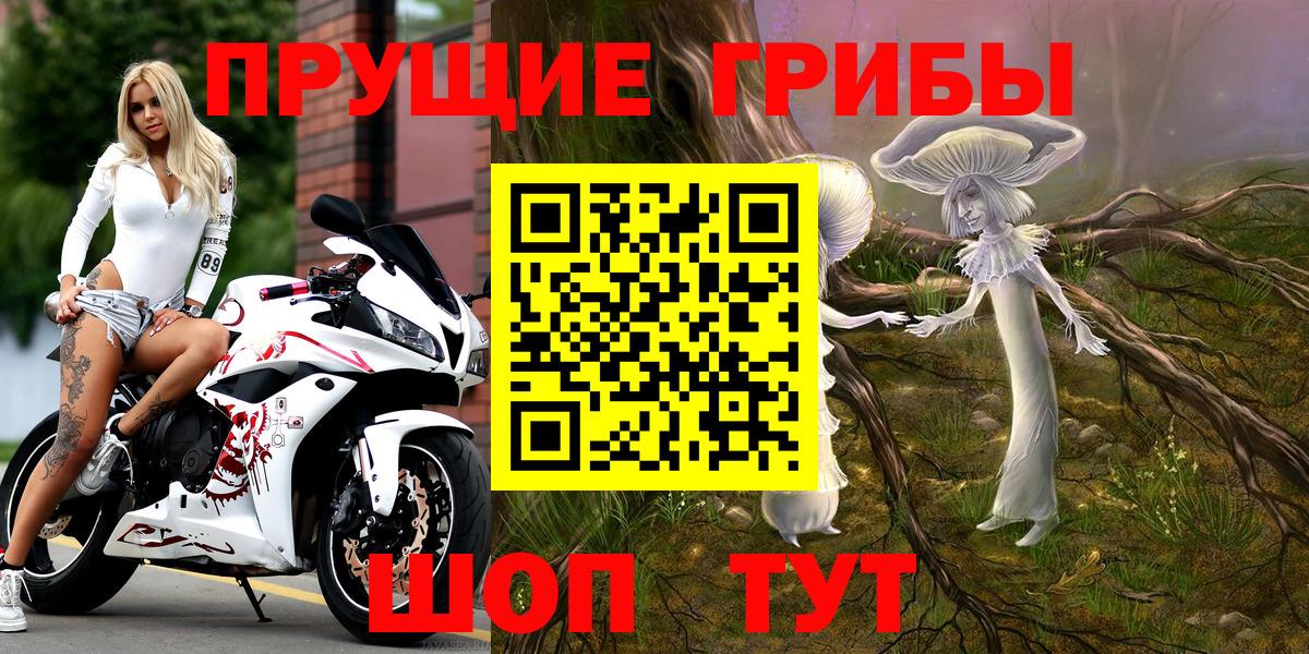 Псилоцибиновые грибы MAGIC MUSHROOMS  Вход с VPN  Биробиджан 