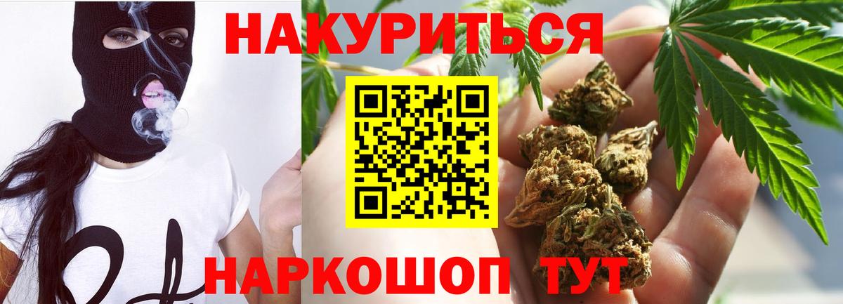 Канабис сатива Биробиджан